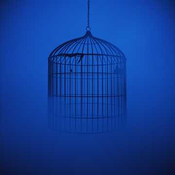 Escape the Cage