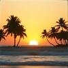 Summer Love