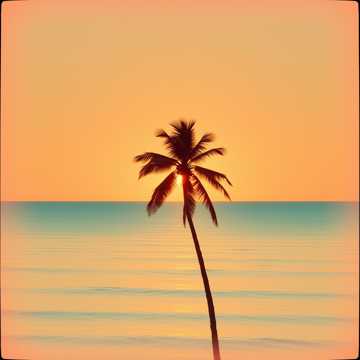 SUNRISE GROOVE [FUSION]