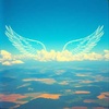 Chasing the Sky