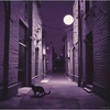 Cover image for Cats Are Deadly