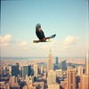 Soaring High