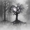 Lost in the Fog