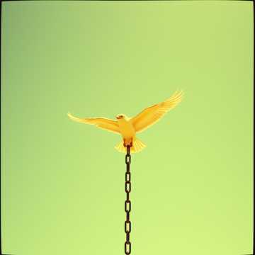 image for I AM Free (9)