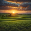 Cover image for Fields of Serenity