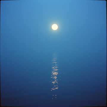 Playlist cover art