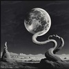  The Shadow's Whisper