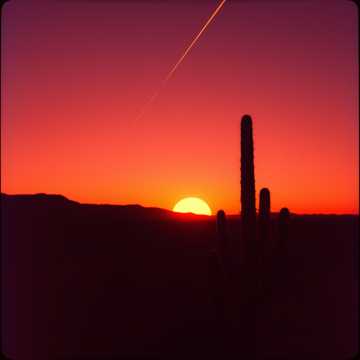 My exes stuck in Texas