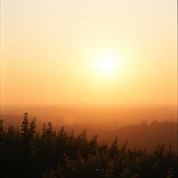 image for Your Best Shot Still Missed