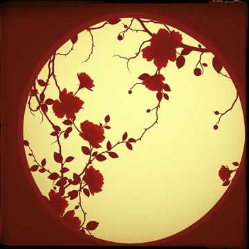 When We’re Done, We're Not