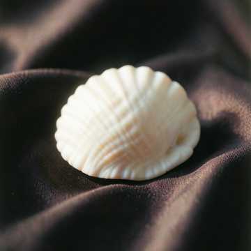 image for What I Miss (Myel) (27)