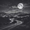 Long Road Home