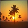 Sunset on the Sand