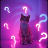 What's wrong with my cat?