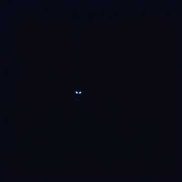 Full Of Intrusive Thoughts