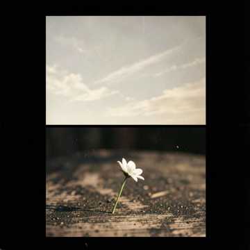 Wind from Afar · Cross-Cultural Folk