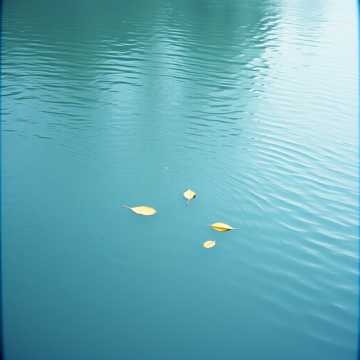 Image for baby sleep songs