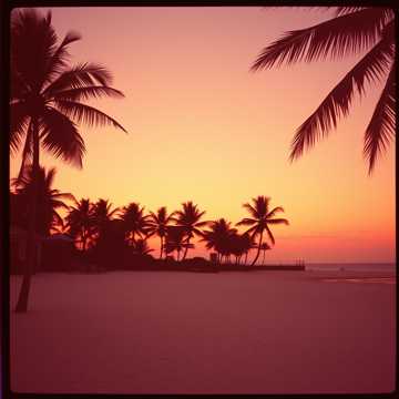 Tropical Groove Paradise