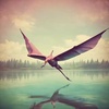 Cover image for Curse of the Pterodactyl Axolotl