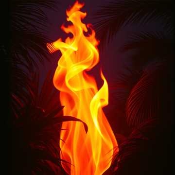 Persona image for Slow Burn