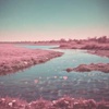 Me and U by the Riverbank