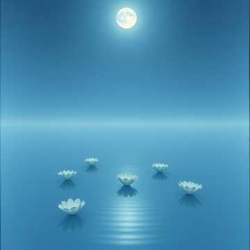 雪夜瓊花 instrumental2 artwork