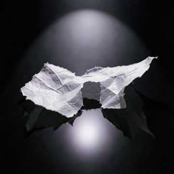 Paper Wings