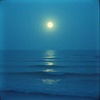 Whisper of the Moon