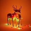 Santa's Cheeky Chimney Visit