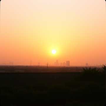 image for Your Best Shot Still Missed (1)