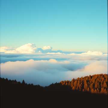 image for Whispers of Valor (7)