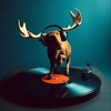 MooseCore