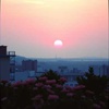 New Dawn
