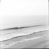 Sea Tea (Remastered)