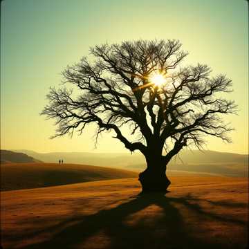 image for Eternal Watch (15)