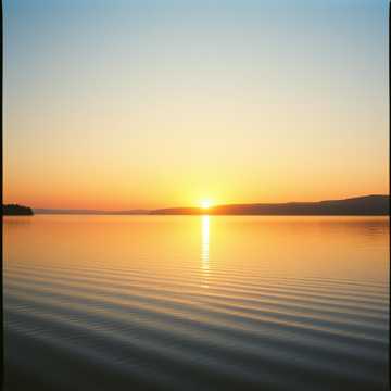 image for Dawns Quiet Guard (6)