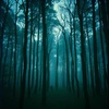 Existential Data Points in Nature