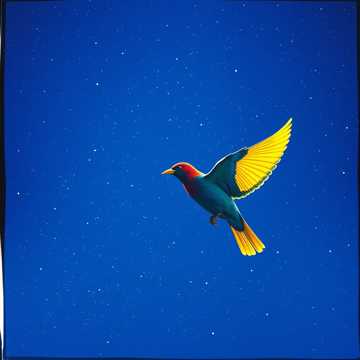 Song Image