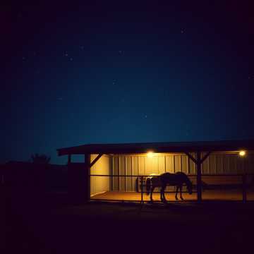 image for I Still Choose You 1