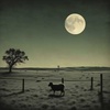 When the Shepherd Prays, the Sheep Still Pay