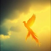 My Free Will
