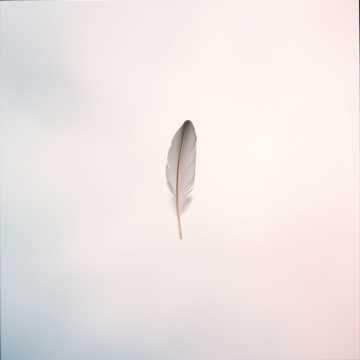 She Deserves to Be Free