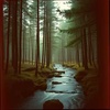 Echoes of the Pines
