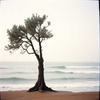 ἡ Ἐπιστροφὴ τῶν Ἀνέμων / The Return of the Winds / 风归之时