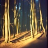 Realm of the Unseen