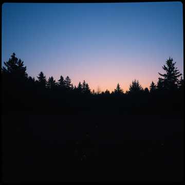 image for Whispers of Valor (1)