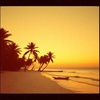Vibrant Coastlines