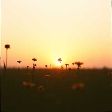Image for Easy Listening Song