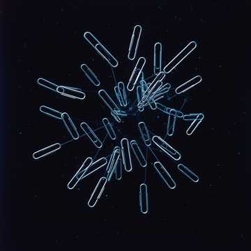 Capa de Paperclip Rhapsody
