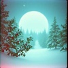 Cover image for Till Next Christmas With You